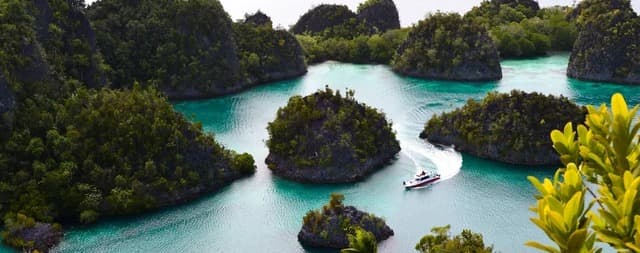 Papua Barat Daya