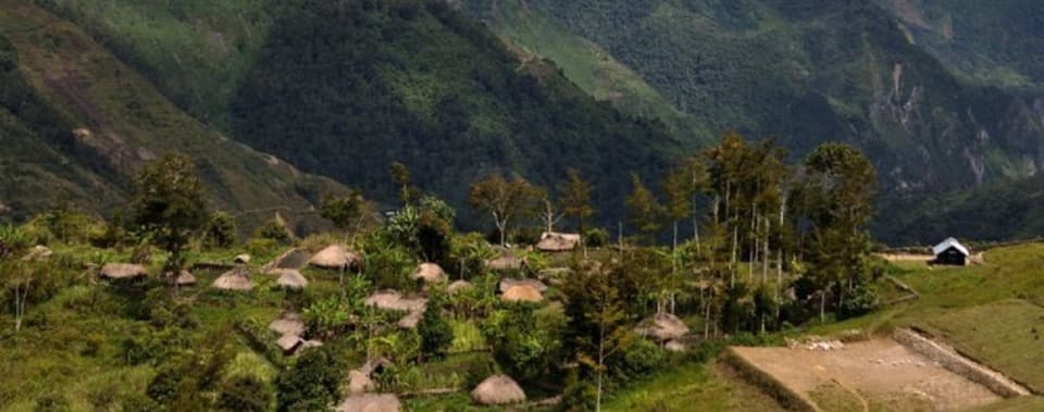 Papua Pegunungan