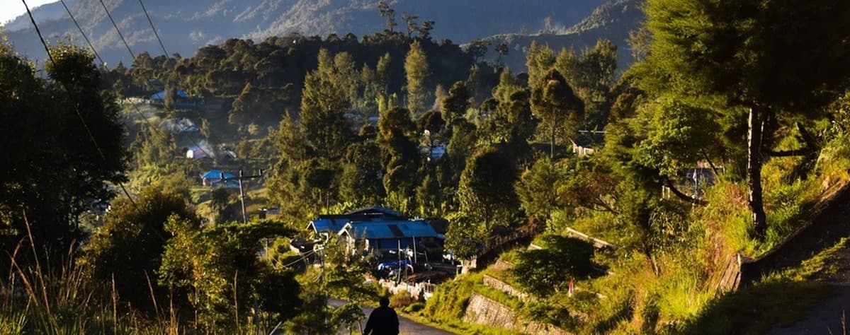Papua Tengah